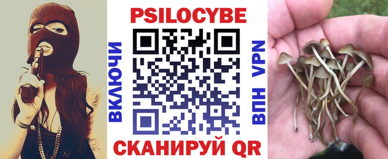 Псилоцибиновые грибы GOLDEN TEACHER  Дрезна 